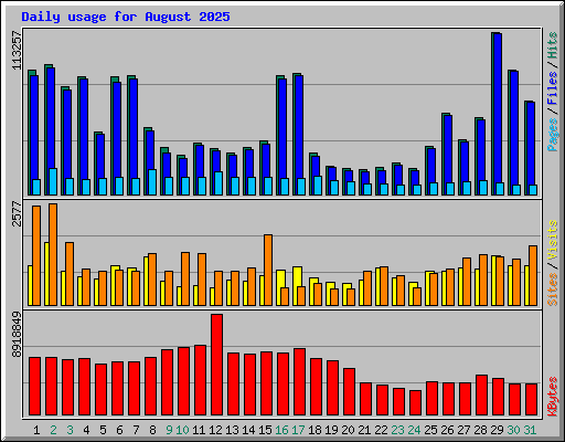 Daily usage for August 2025
