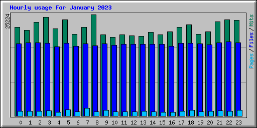 Hourly usage for January 2023