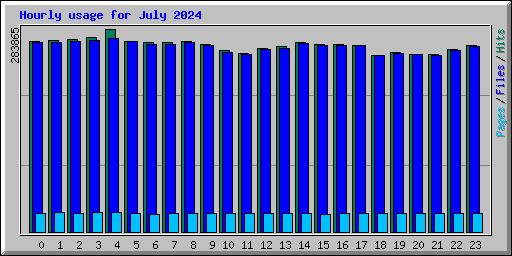 Hourly usage for July 2024