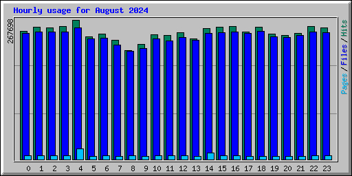 Hourly usage for August 2024