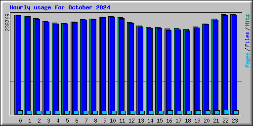 Hourly usage for October 2024