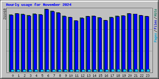 Hourly usage for November 2024