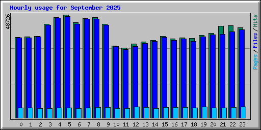 Hourly usage for September 2025