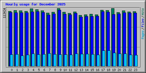 Hourly usage for December 2025