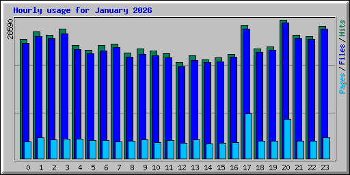 Hourly usage for January 2026